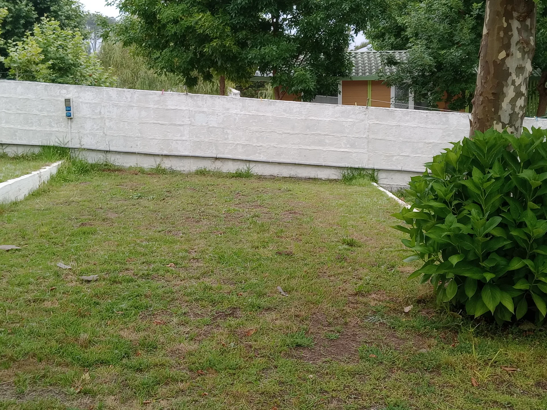 Parcela de césped del camping con límite de muro y vegetación.