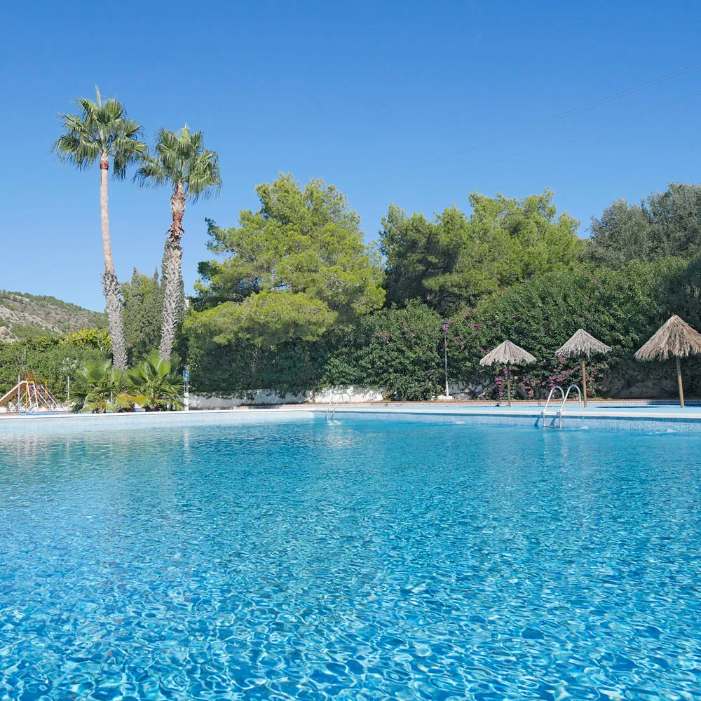 Piscina exterior del camping con palmeras y zona de descanso.
