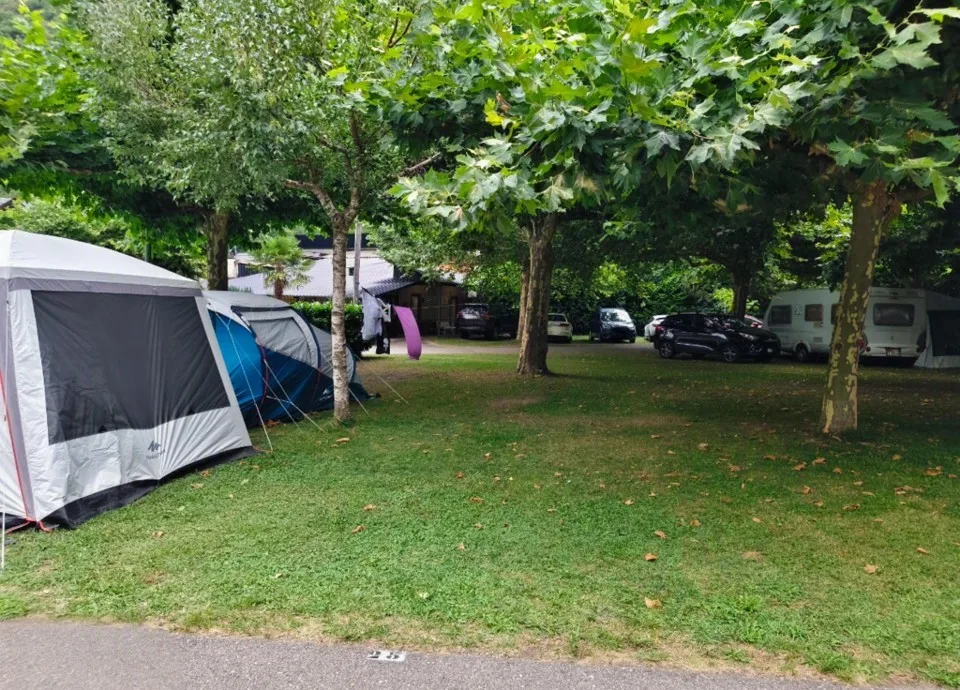 Zona arbolada del camping con parcelas, tiendas y autocaravanas.