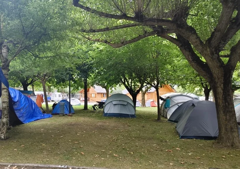 Zona de acampada arbolada con varias tiendas y cabañas al fondo.