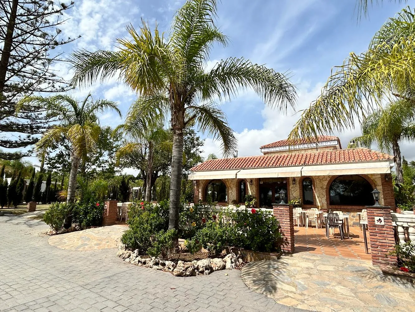 Terraza exterior de restaurante con palmeras y zona ajardinada del establecimiento.