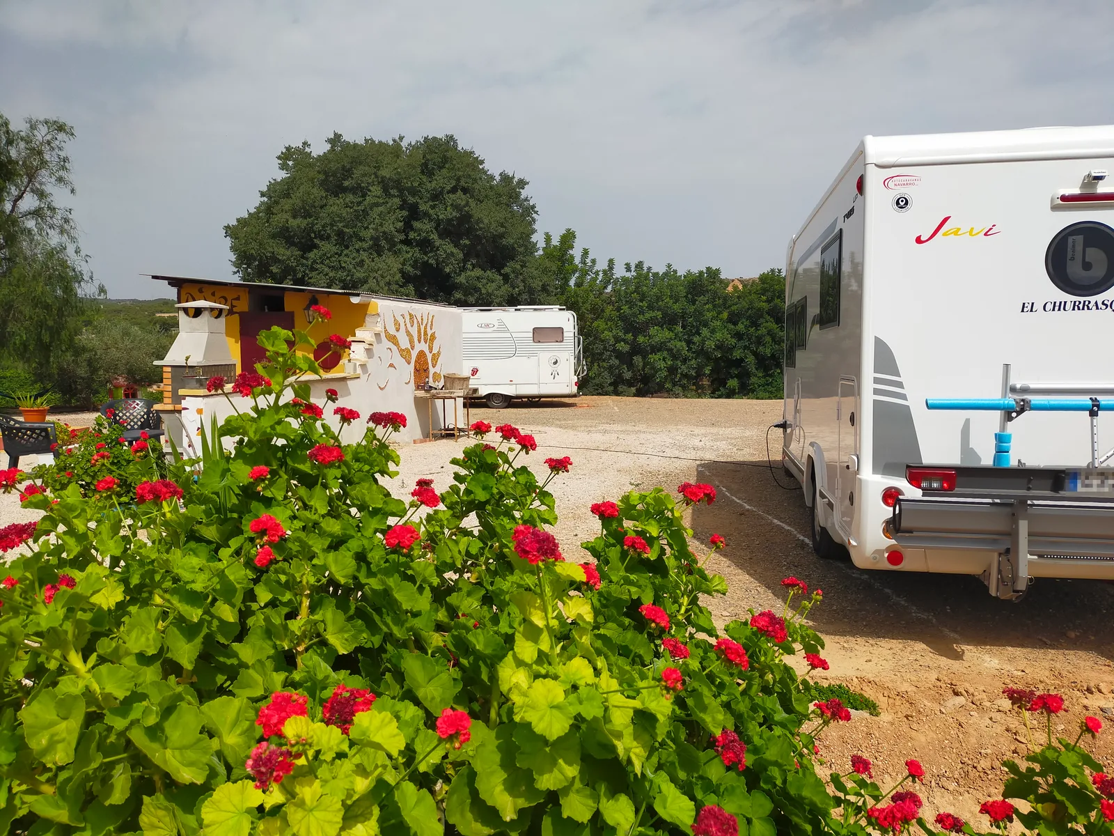 Parcelas de la Granja La Carmela con geranios, la zona de barbacoa y autocaravanas