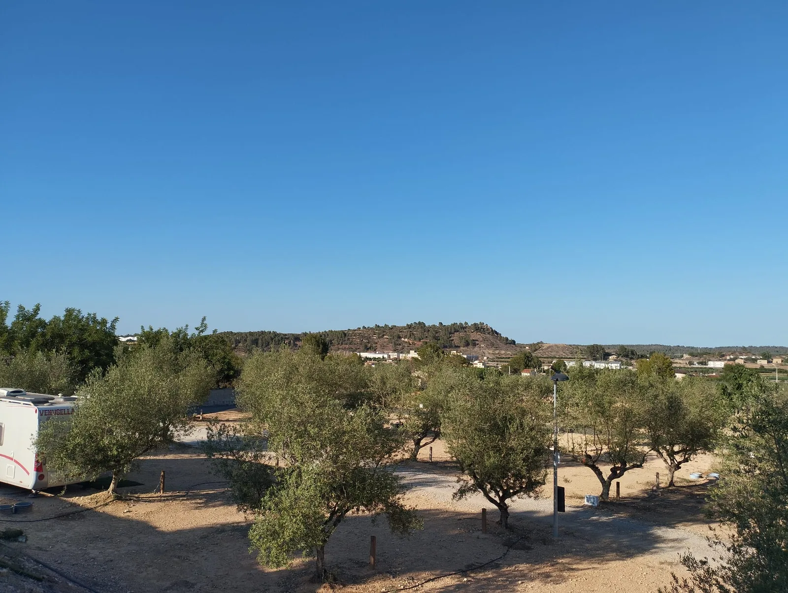 Parcelas del camping entre olivos, con una autocaravana estacionada y la sierra al fondo
