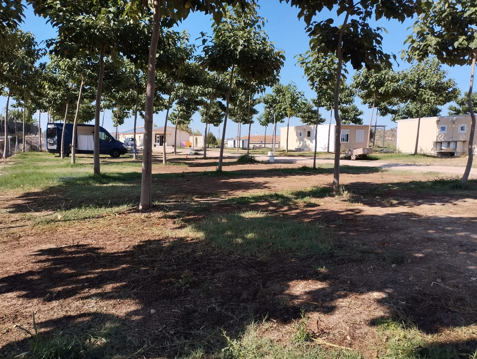 Parcelas del camping a la sombra de las paulonias, con una camper y los edificios de servicios al fondo